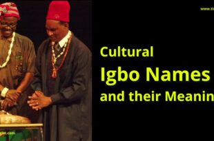 igbo names