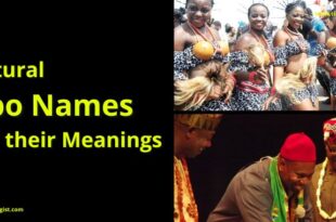 cultural igbo names